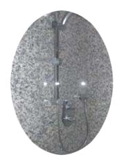 Panelled wall with concealed shower
